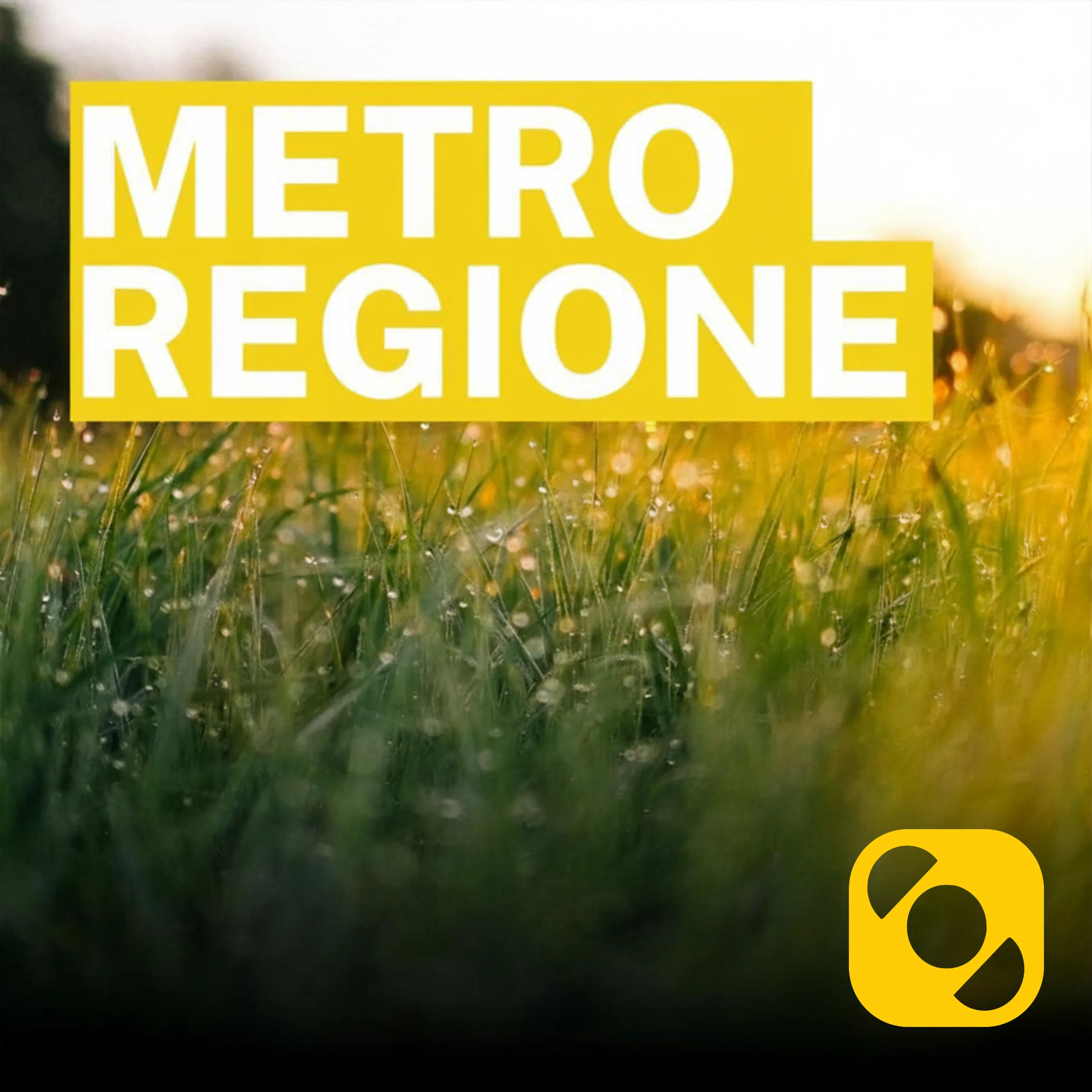 Metroregione di mercoledì 06/05/2026 delle 19:48