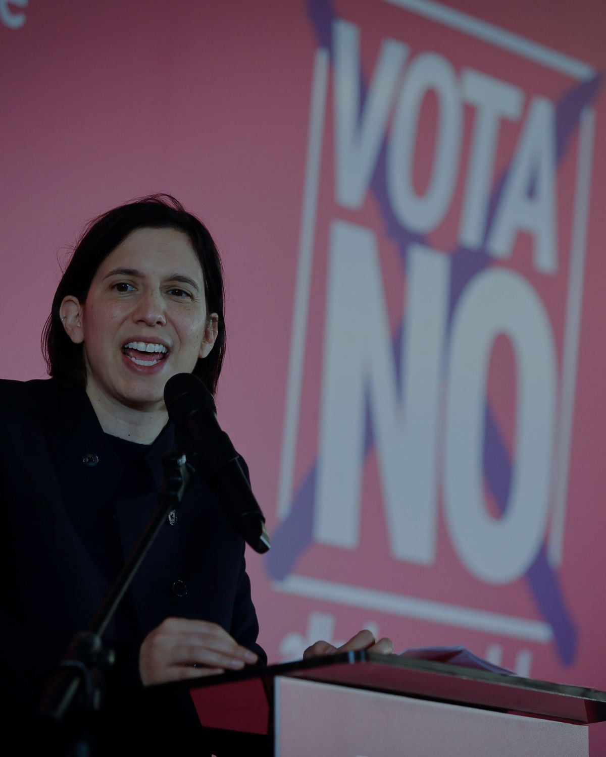 Elly Schlein Banner Mobile