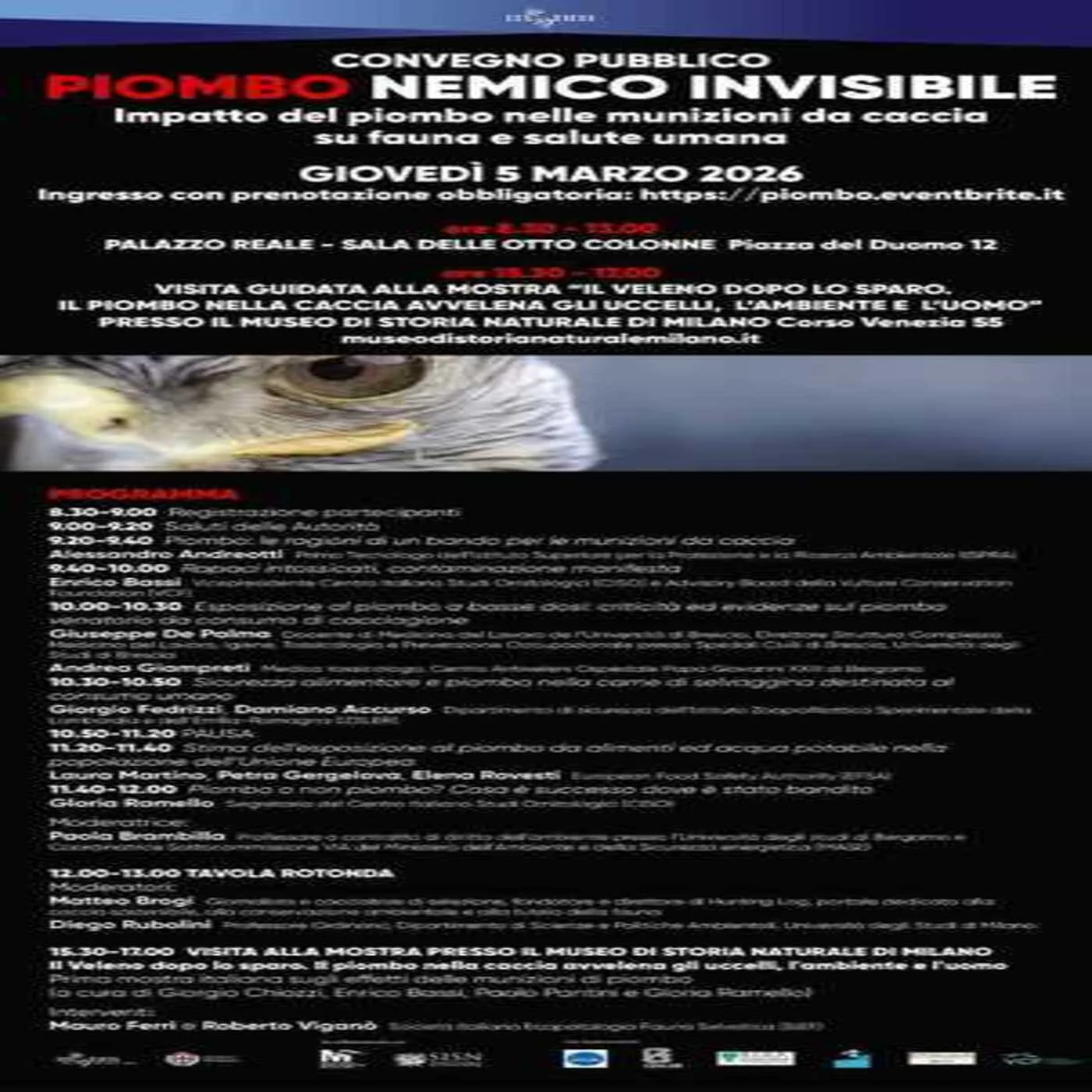 Considera l’armadillo di lunedì 02/03/2026