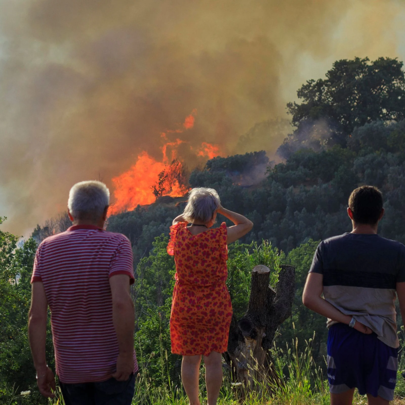 Clima. Mercalli: "Sapevamo già cosa sarebbe successo, ma abbiamo fatto finta di niente"