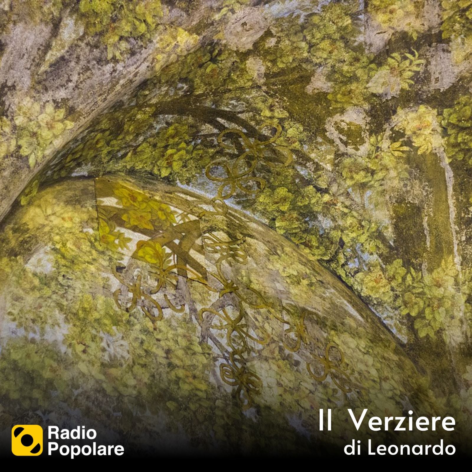 Il Verziere di Leonardo di sabato 24/01/2026