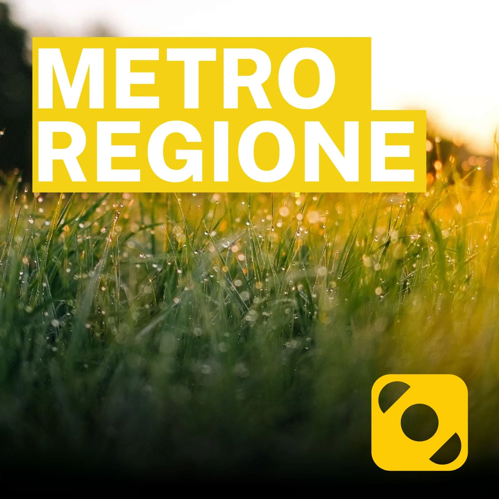 Metroregione di giovedì 22/01/2026 delle 19:47