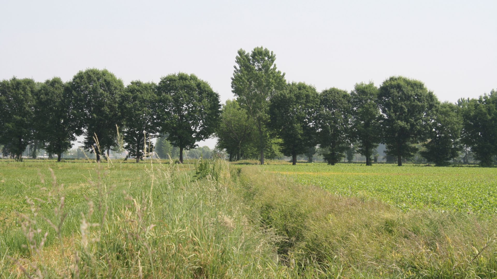 parco agricolo sud milano