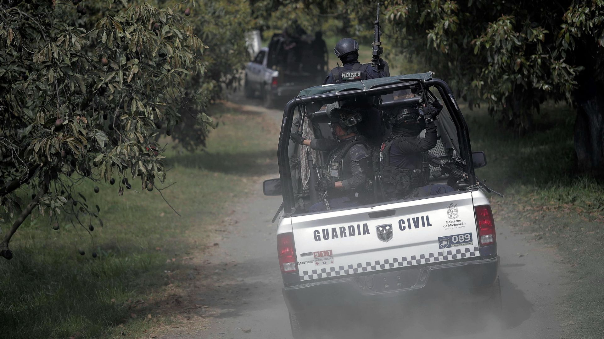 _Agenti della Guardia Civil monitorano le piantagioni di avocado a Uruapan, Michoacán, Messico, 07 febbraio 2024