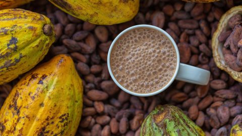 Il cacao e il caffè sono ancora insostenibili