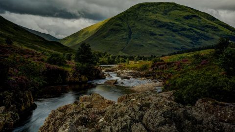 Rewilding, la nuova frontiera per la conservazione della biodiversità